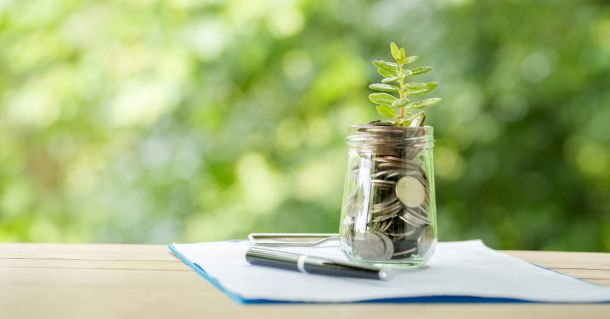 Homeowner Grants